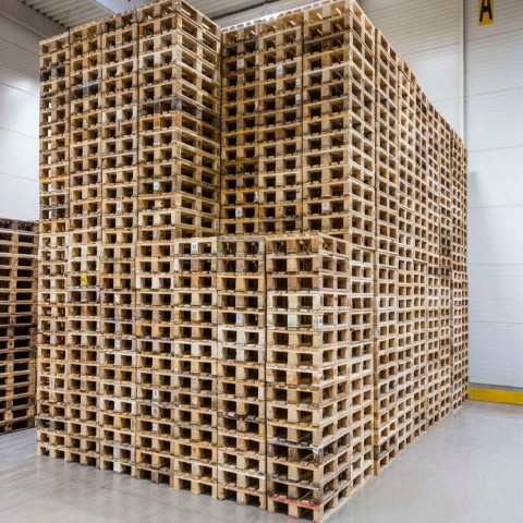 Aktuelle Entwicklung des Palettenmarktes